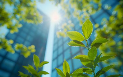 Frühjahrsputz für den Kopf: So schaffst du frischen Fokus im Alltag